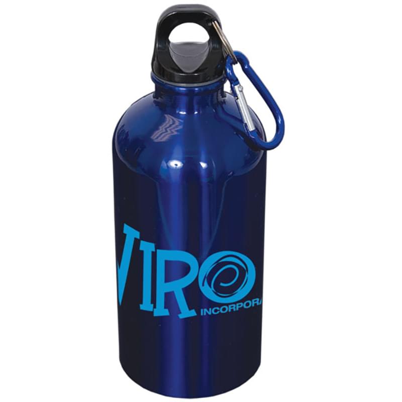 500 ml (17 oz.) STAINLESS STEEL WATER BOTTLE WITH CARABINER
